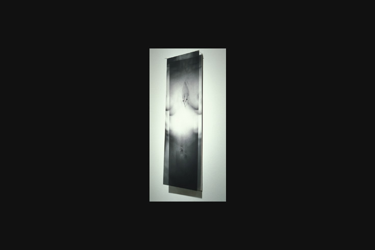 ann schwab | untitled transparency