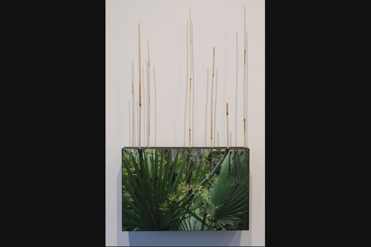 ann schwab | verdant 2