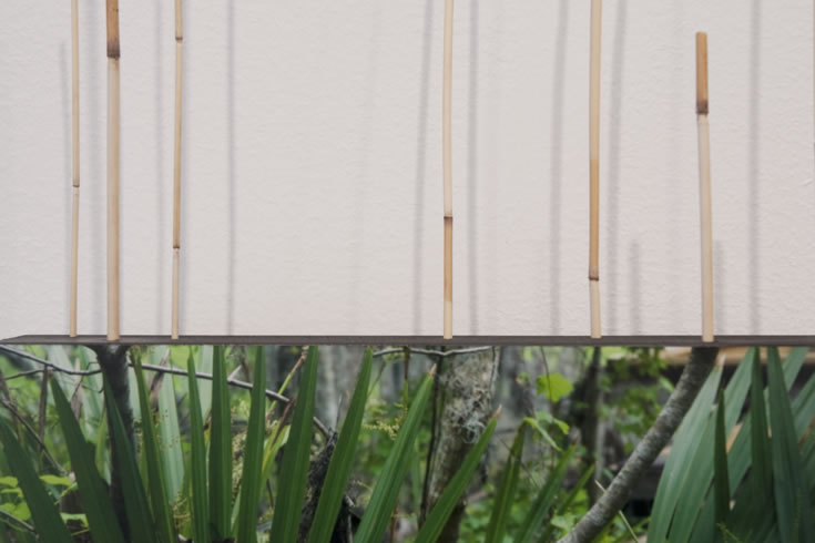 ann schwab | verdant 2, detail