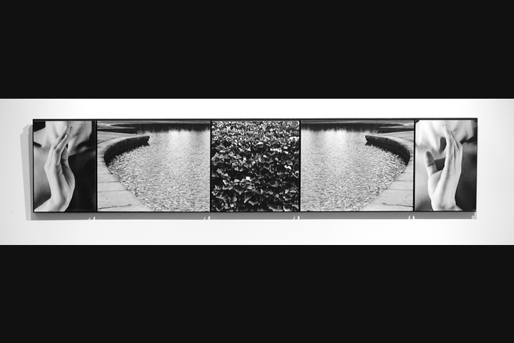 ann schwab | within